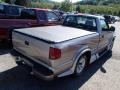 Pewter Metallic - S10 LS Regular Cab Photo No. 6