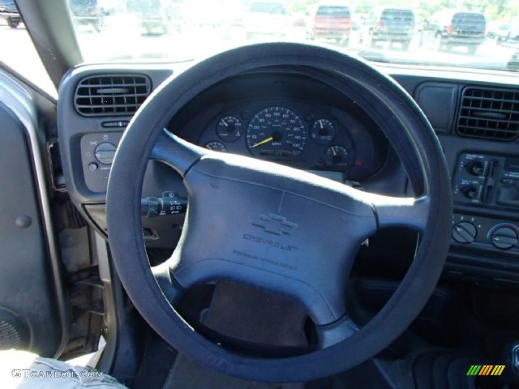 1998 S10 LS Regular Cab - Pewter Metallic / Graphite photo #13