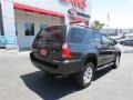 Galactic Gray Mica - 4Runner SR5 Photo No. 7