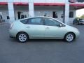 Seaside Blue Pearl - Prius Hybrid Photo No. 8