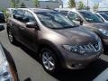Tinted Bronze Metallic - Murano S AWD Photo No. 1