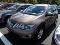 Tinted Bronze Metallic - Murano S AWD Photo No. 3