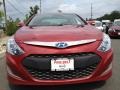 Venetian Red Pearl - Sonata Hybrid Photo No. 2