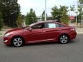 Venetian Red Pearl - Sonata Hybrid Photo No. 4