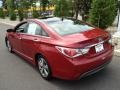 Venetian Red Pearl - Sonata Hybrid Photo No. 5
