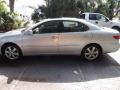 Classic Silver Metallic - ES 330 Photo No. 10