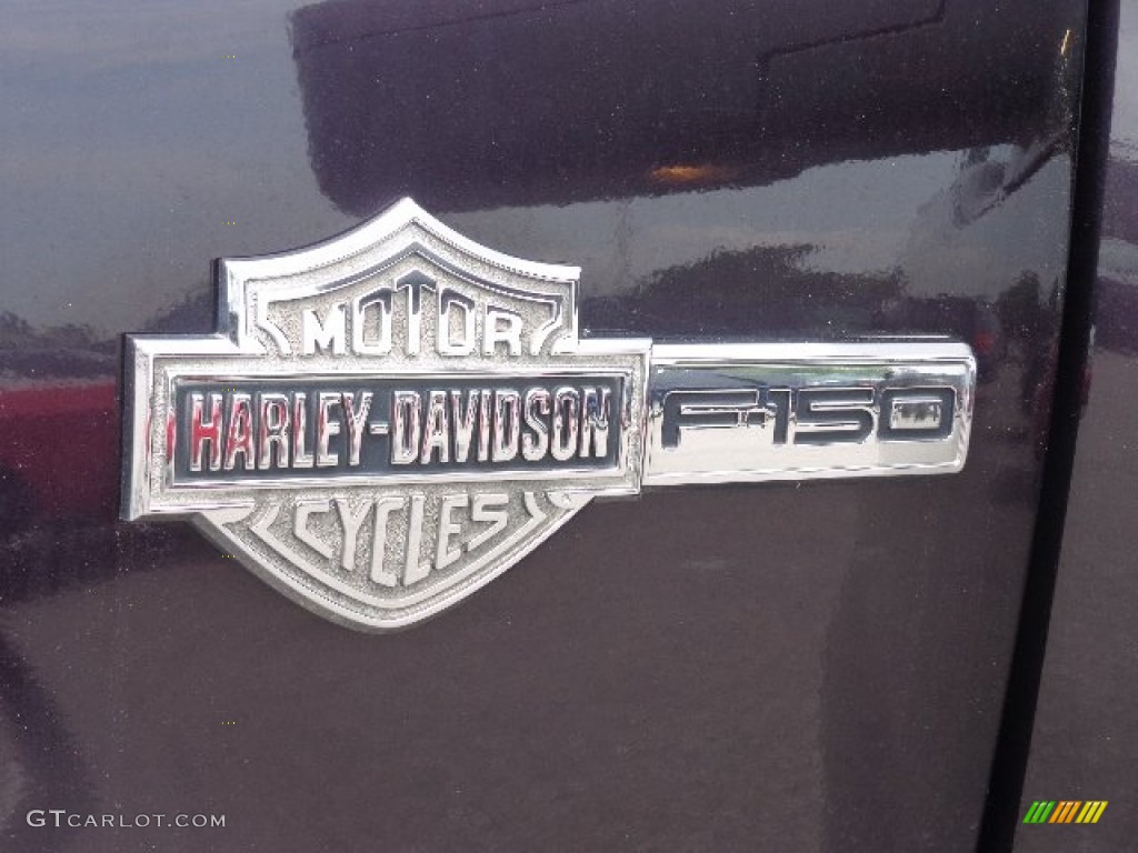 2007 Ford F150 Harley-Davidson SuperCrew 4x4 Marks and Logos Photo #85339309