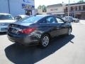Pacific Blue Pearl - Sonata GLS Photo No. 7
