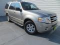 Vapor Silver Metallic 2008 Ford Expedition XLT