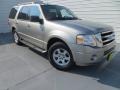 Vapor Silver Metallic - Expedition XLT Photo No. 2