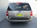 Vapor Silver Metallic - Expedition XLT Photo No. 5