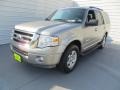 Vapor Silver Metallic - Expedition XLT Photo No. 7
