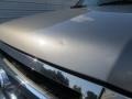 Vapor Silver Metallic - Expedition XLT Photo No. 11