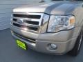 Vapor Silver Metallic - Expedition XLT Photo No. 12