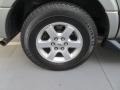 Vapor Silver Metallic - Expedition XLT Photo No. 15