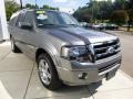 2010 Sterling Grey Metallic Ford Expedition EL Limited 4x4  photo #6
