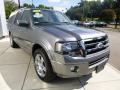 Sterling Grey Metallic - Expedition EL Limited 4x4 Photo No. 6