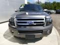 2010 Sterling Grey Metallic Ford Expedition EL Limited 4x4  photo #7
