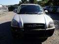 2007 Platinum Metallic Hyundai Tucson SE 4WD  photo #2