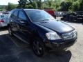 Black - ML 350 4Matic Photo No. 1