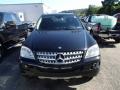 Black - ML 350 4Matic Photo No. 2