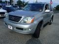 Silver Pine Metallic - GX 470 Photo No. 1