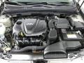 Camel Pearl - Sonata GLS Photo No. 5