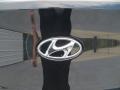 2013 Black Noir Pearl Hyundai Genesis Coupe 3.8 Grand Touring  photo #7