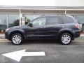 2013 Dark Gray Metallic Subaru Forester 2.5 X Premium  photo #2