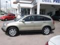 2009 Borrego Beige Metallic Honda CR-V EX-L  photo #2