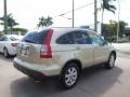 2009 Borrego Beige Metallic Honda CR-V EX-L  photo #5