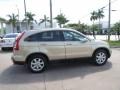 2009 Borrego Beige Metallic Honda CR-V EX-L  photo #6