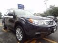 2013 Dark Gray Metallic Subaru Forester 2.5 X Premium  photo #8