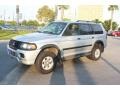 2002 Munich Silver Metallic Mitsubishi Montero Sport ES  photo #3