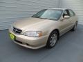 2001 Naples Gold Metallic Acura TL 3.2  photo #7