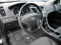 2011 Black Plum Pearl Hyundai Sonata SE  photo #9