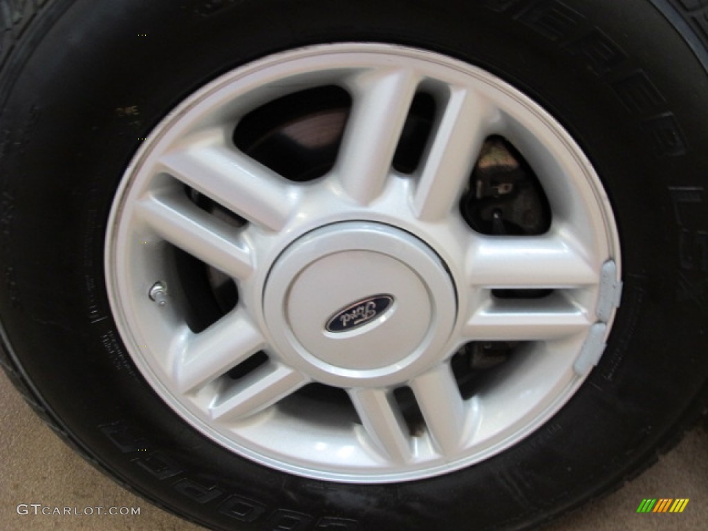 2005 Expedition XLT 4x4 - Dark Shadow Grey Metallic / Medium Flint Grey photo #12