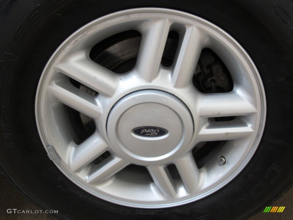 2005 Expedition XLT 4x4 - Dark Shadow Grey Metallic / Medium Flint Grey photo #13