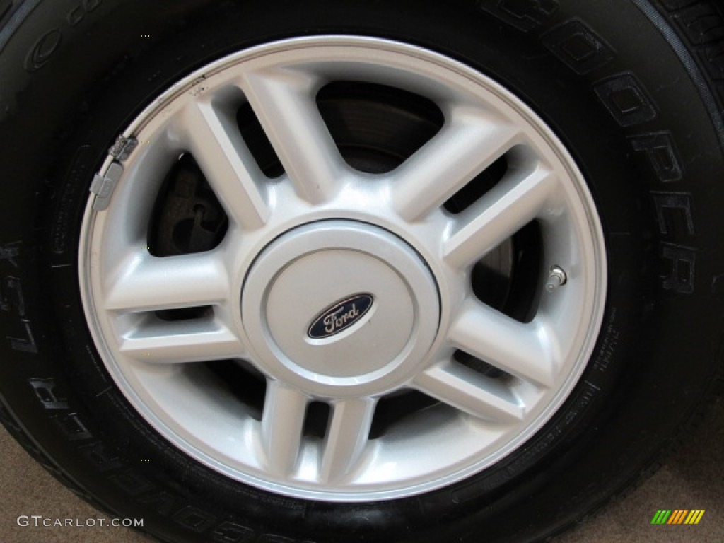 2005 Expedition XLT 4x4 - Dark Shadow Grey Metallic / Medium Flint Grey photo #14