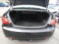 2011 Black Plum Pearl Hyundai Sonata SE  photo #20