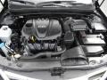 2011 Black Plum Pearl Hyundai Sonata SE  photo #28