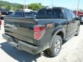 Tuxedo Black Metallic - F150 FX4 SuperCrew 4x4 Photo No. 5