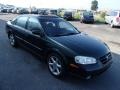 Sherwood Green Metallic - Maxima SE Photo No. 4