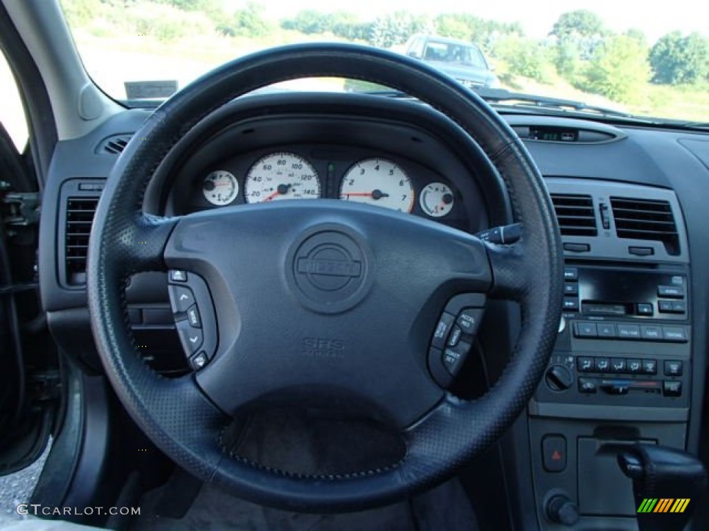 2001 Maxima SE - Sherwood Green Metallic / Frost photo #13