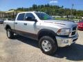 Bright Silver Metallic 2010 Dodge Ram 2500 Power Wagon Crew Cab 4x4 Exterior