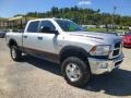 2010 Bright Silver Metallic Dodge Ram 2500 Power Wagon Crew Cab 4x4  photo #1