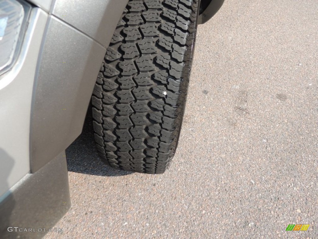 2009 Ram 1500 SLT Regular Cab - Bright Silver Metallic / Dark Slate/Medium Graystone photo #12