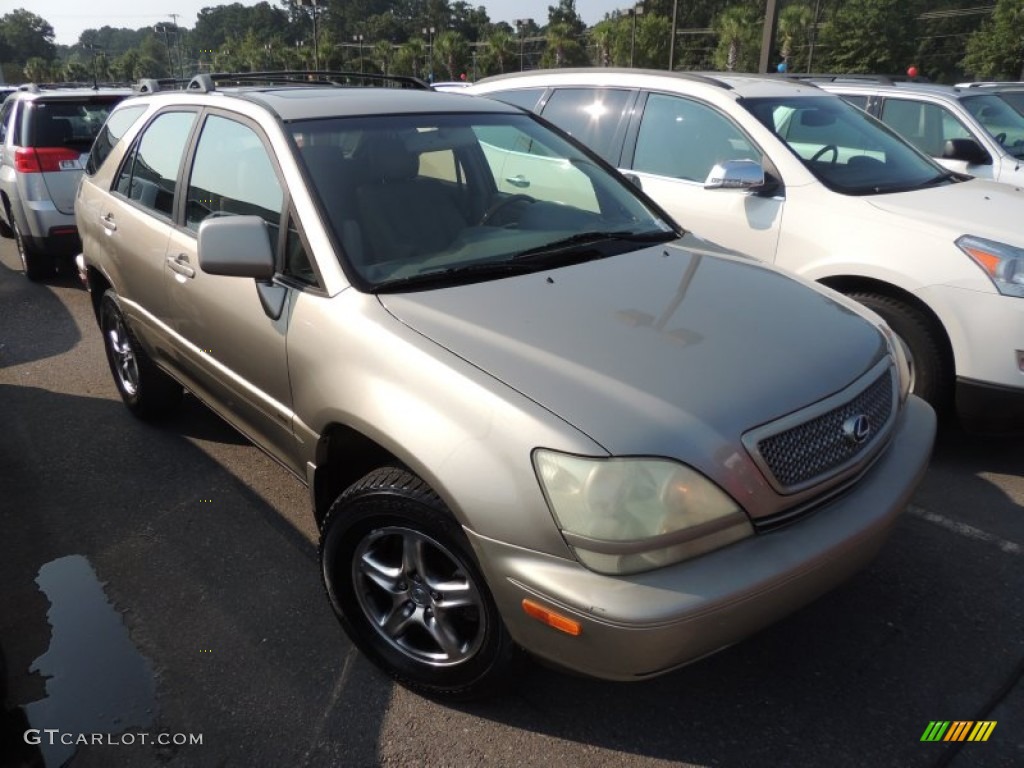 2002 RX 300 - Burnished Gold Metallic / Ivory photo #1