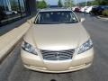  2009 ES 350 Golden Almond Metallic