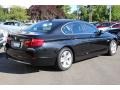 Jet Black - 5 Series 528i xDrive Sedan Photo No. 5